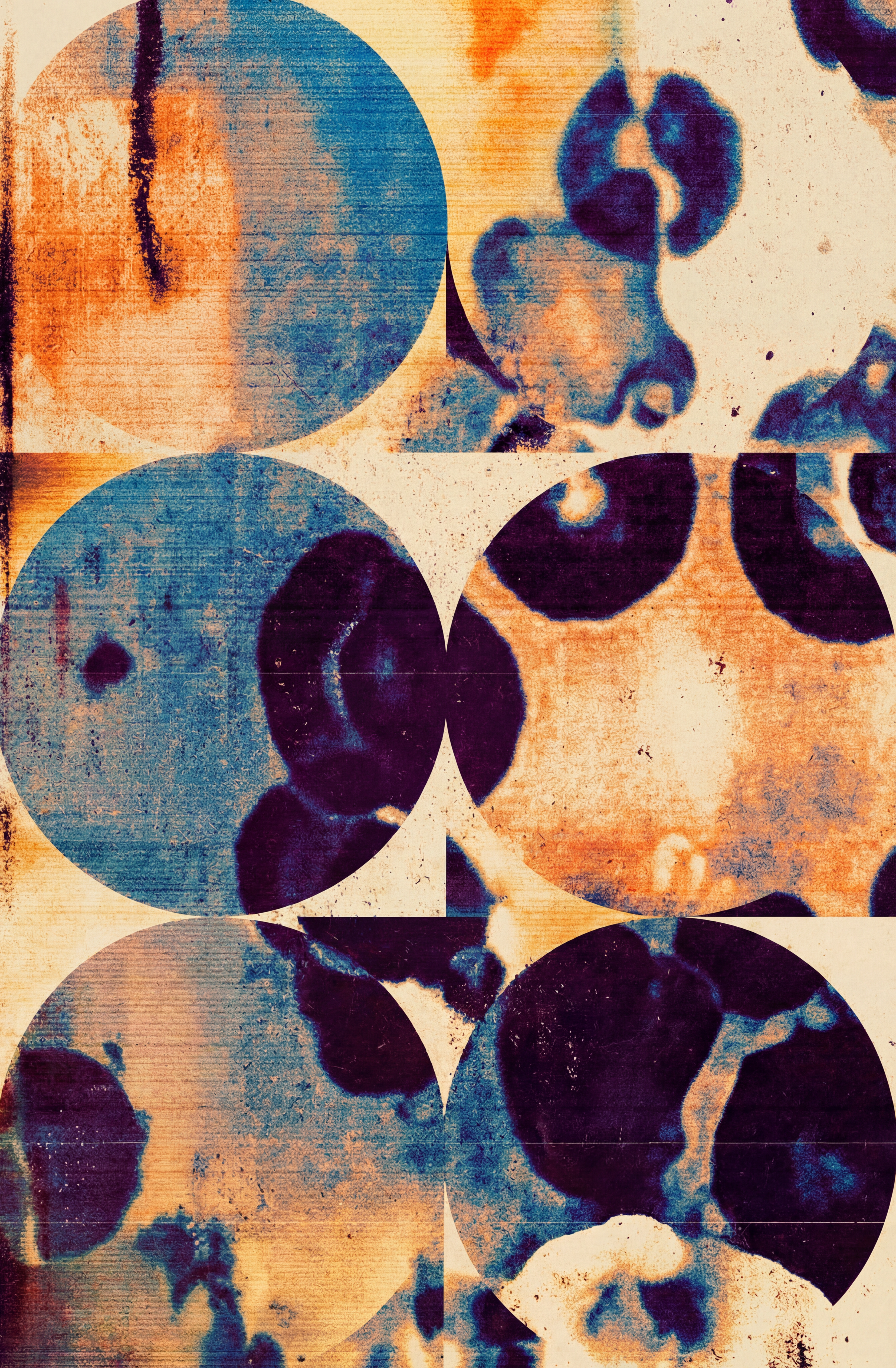 Visualisation cellules AION